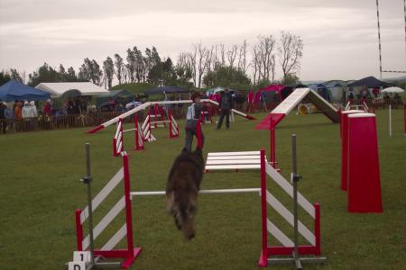 Agility